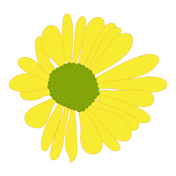 Isolated colored flower - Vector, Image