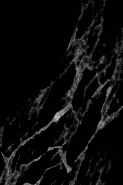 繊細な葉脈のある黒い大理石のテクスチャ - 写真・画像