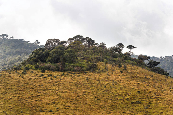 Trópusi hegységben fekvő - Fotó, kép