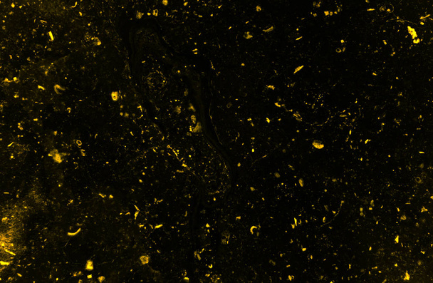 Abstraktní zlaté a tmavě textuře mramoru - Fotografie, Obrázek