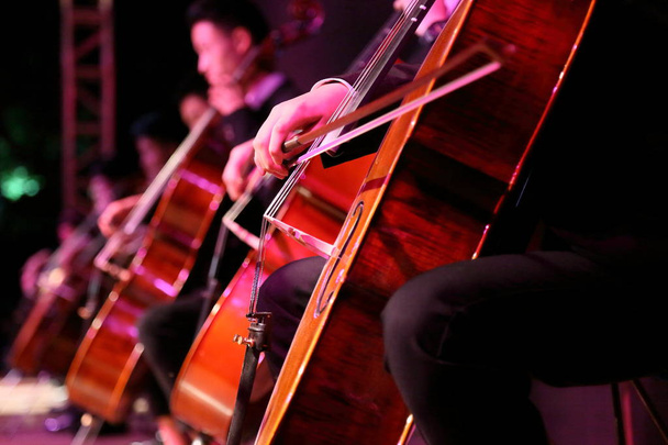 Tocando violonchelo
 - Foto, imagen