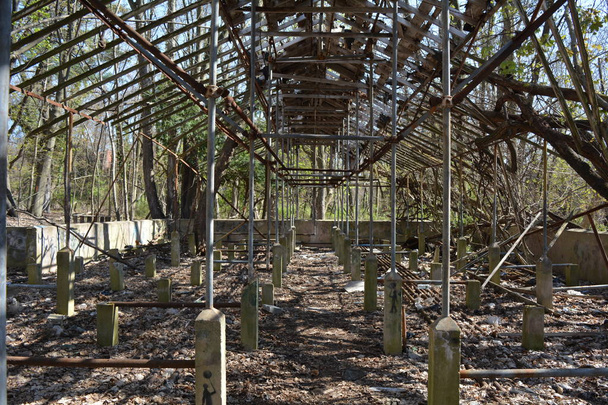 Rovine strutturali di una serra abbandonata
 - Foto, immagini