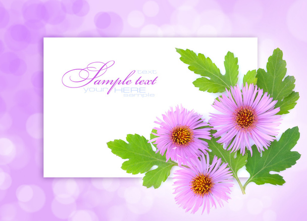 Осінні квіти на абстрактному світло-рожевому тлі з простором для тексту
 - Фото, зображення