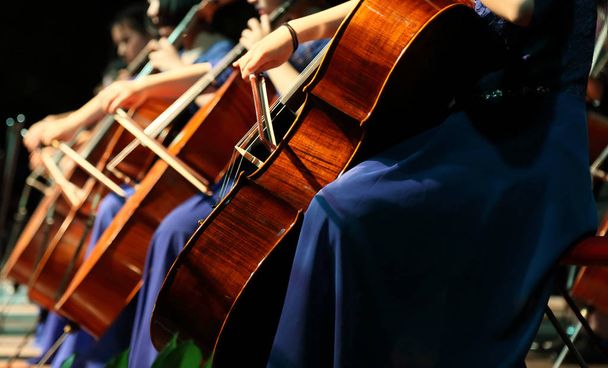 Tocando violonchelo
 - Foto, Imagen