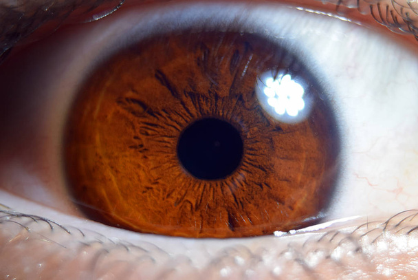 Extreme closeup macro on human male eye - 写真・画像