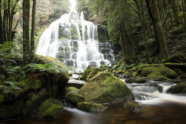 Водопад Нельсона в Тасмании
 - Фото, изображение