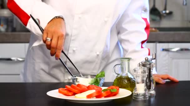Επαγγελματίας μάγειρας ετοιμάζει ένα πιάτο με φρέσκες ντομάτες και μοτσαρέλα  - Πλάνα, βίντεο