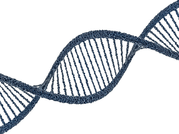 Illustration numérique d'un modèle ADN. rendu 3D
 - Photo, image