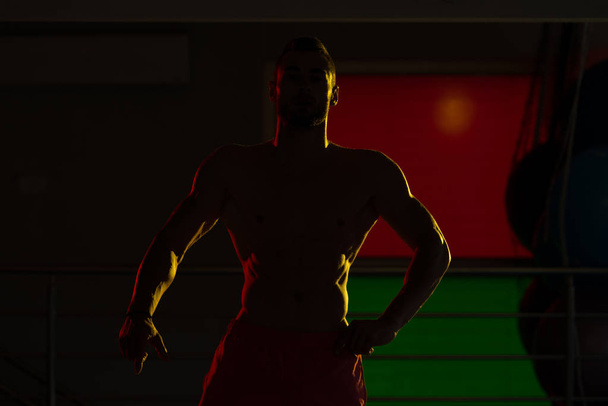 Silhouette Bodybuilder Flexing Muscles - Foto, Imagen