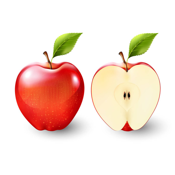 Red apple and a half of apple, fruit, Vector - Vector, Image
