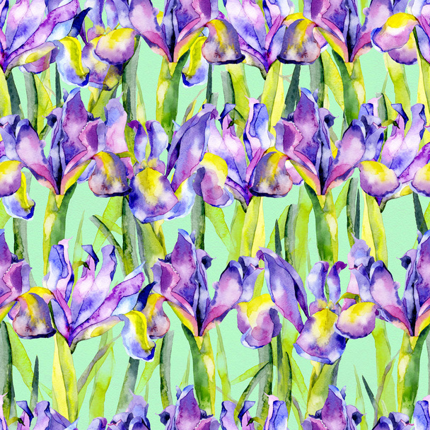 Purple, summer, purple, beautiful, blossoming iris flowers. Watercolor. Illustration - Foto, afbeelding