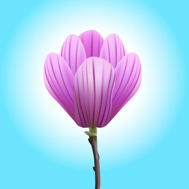 美しいモクレンの花  - ベクター画像