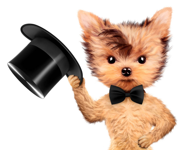 Смешной джентльмен собачка с черным бантом и цилиндрической шляпой
 - Фото, изображение