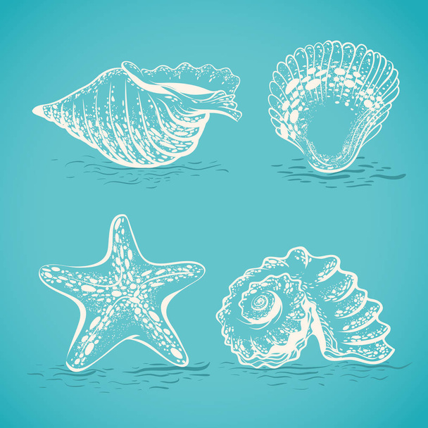 Sketch drawing by hand of different seashells and starfishes - Vector, Image