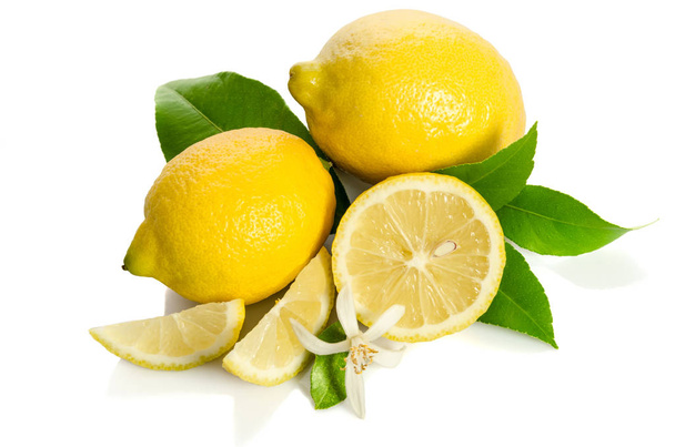 Lemons tree flower and a lemons isolated on white background - Photo, image