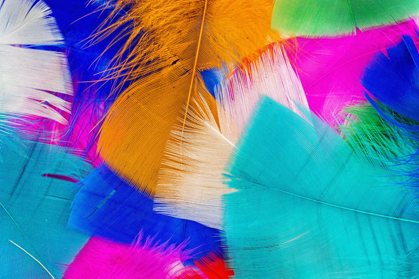 színes háttérrel, színes tollak - Fotó, kép