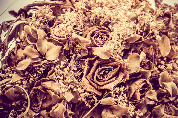 Flores secas
 - Foto, imagen