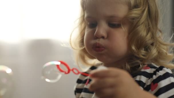 Portrait of charmind caucasian little girl with blond curly hair playing in bubble blower on home background. Indoor. - Πλάνα, βίντεο