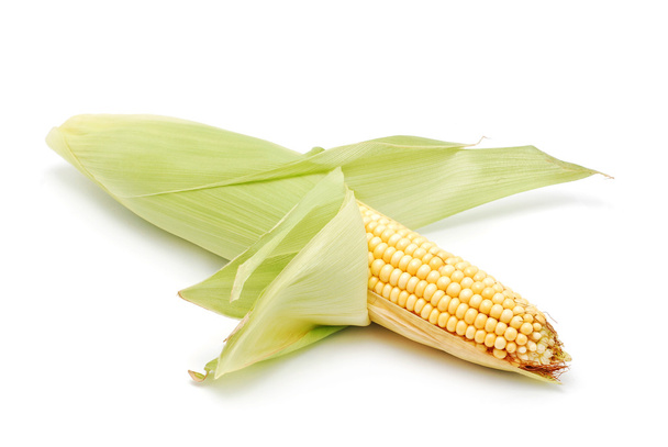 Corn cob - Foto, Imagem