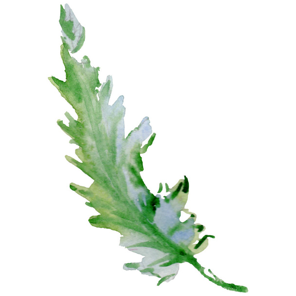 Wildflower poppy flower leaf in a watercolor style isolated. - Fotoğraf, Görsel