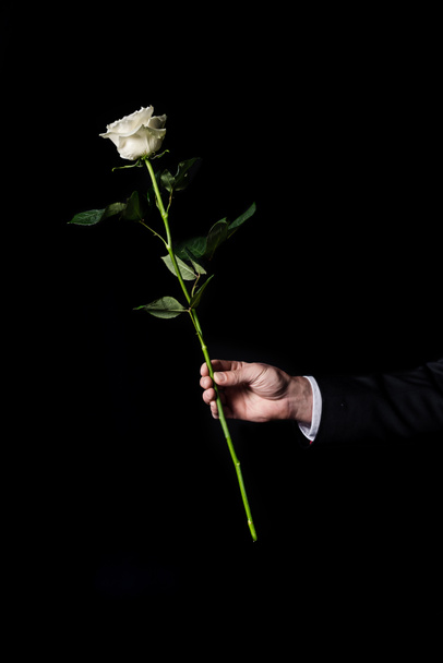man holding white rose - Photo, Image