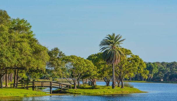 散歩とラルゴ、フロリダ州のジョン s. テイラー公園の島に木のブリッジの眺めの美しい日. - 写真・画像