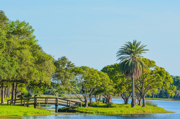 Un hermoso día para un paseo y la vista del puente de madera a la isla en John S. Taylor Park en Largo, Florida
. - Foto, Imagen