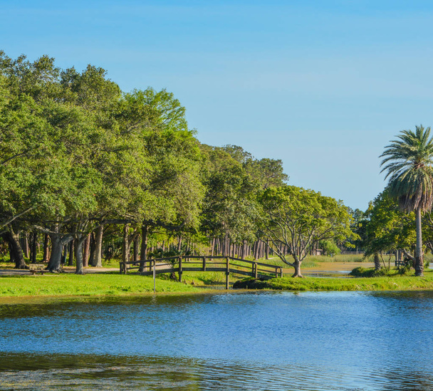 Un hermoso día para un paseo y la vista del puente de madera a la isla en John S. Taylor Park en Largo, Florida
. - Foto, imagen
