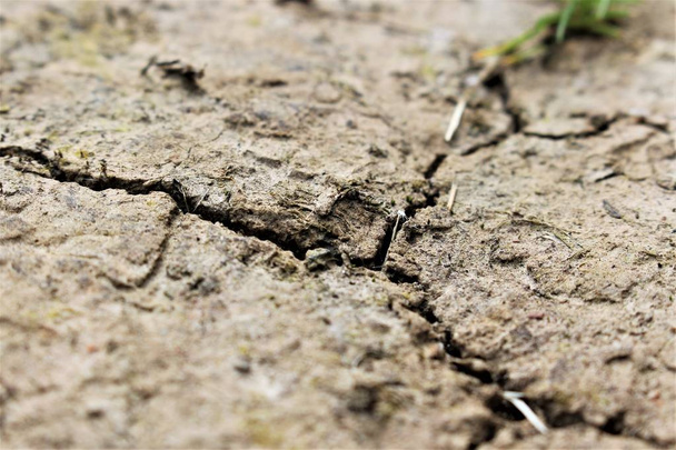 An Image of soil erosion - Photo, Image