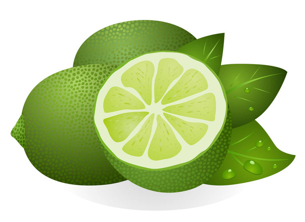 Limão com metade e folhas
 - Vetor, Imagem