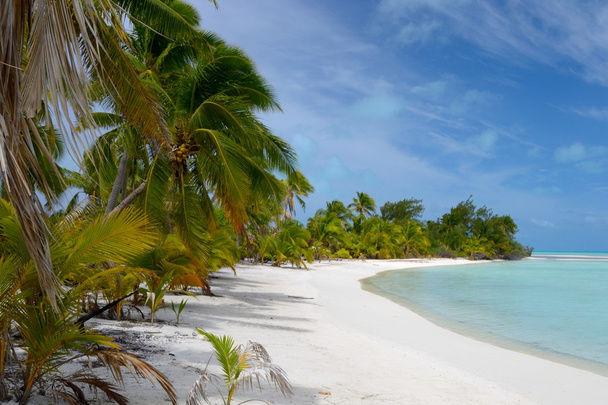 bezludnej plaży na wyspie zdalnego - Zdjęcie, obraz