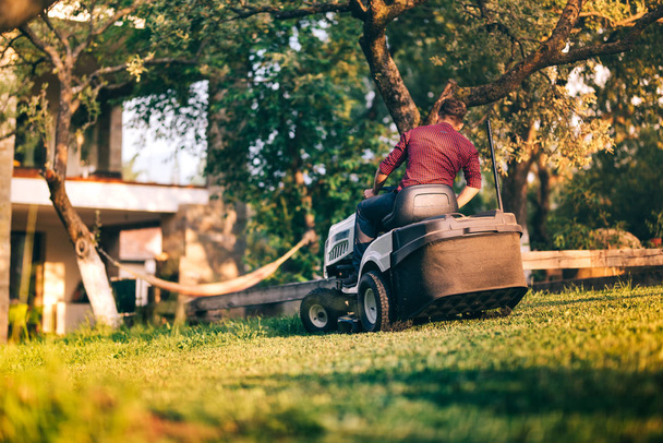 Male worker using professional lawn mower for trimming backyard grass. Lansdscaping works in progress - 写真・画像