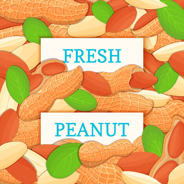 Kaksi valkoista suorakulmion etiketti maapähkinä hedelmiä tausta. Vektorikorttikuva
. - Vektori, kuva
