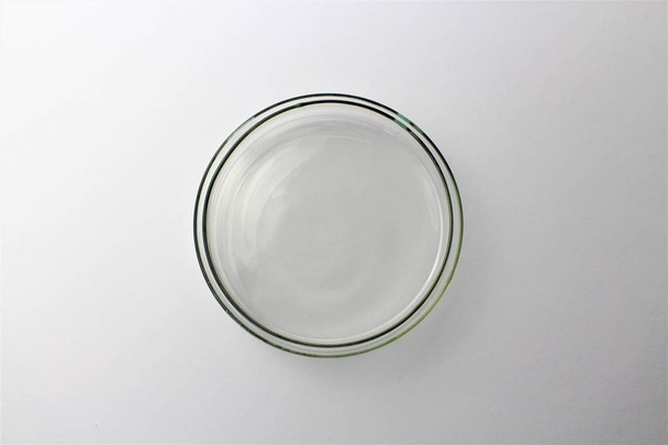 Una placa de Petri (también conocida como placa de Petrie, placa de Petri o placa de cultivo celular) de vidrio cilíndrico o una placa de plástico con tapa utilizada para cultivar células como bacterias o musgos - Foto, Imagen