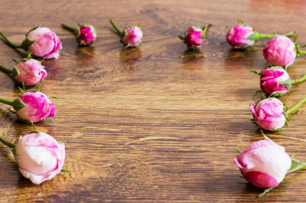 Kutya Rose rózsaszín Rosa Canina virágok - Fotó, kép
