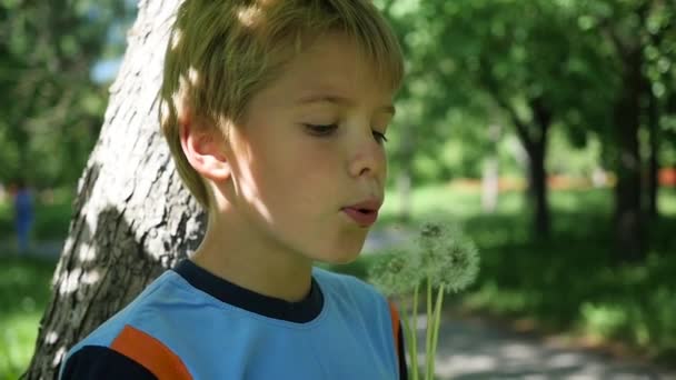 Knappe jongen waait paardebloem zaden in het Park, slow-motion - Video