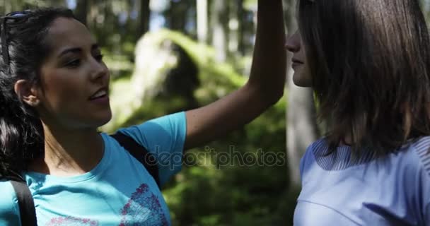 Two women talking in sunny forest woods - Footage, Video