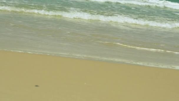 Földközi-tenger. Kis hullámok egy homokos strand - Felvétel, videó