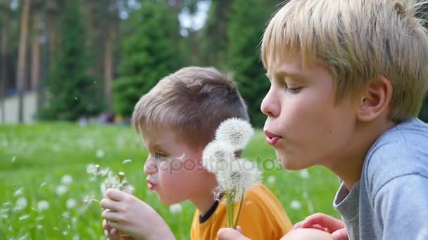Glückliche Kinder pusten Löwenzahnsamen in den Park, Zeitlupe. Familienurlaub im Park - Filmmaterial, Video