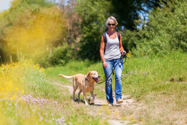 mature woman hiking with dog in the landscape - Фото, зображення