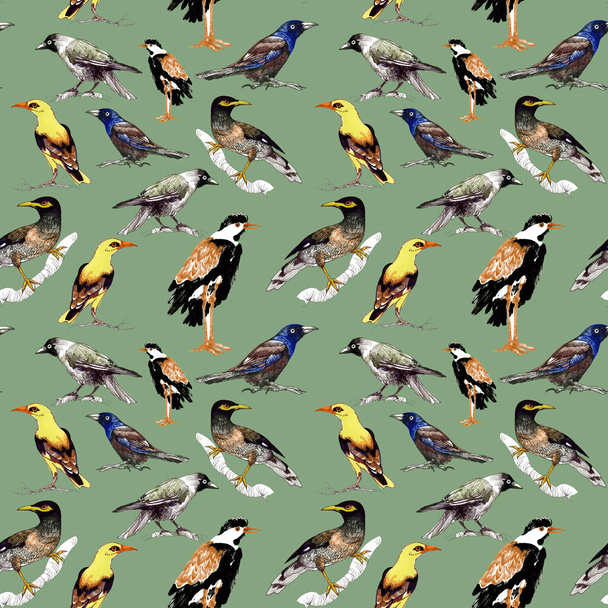 wild birds background - Foto, afbeelding