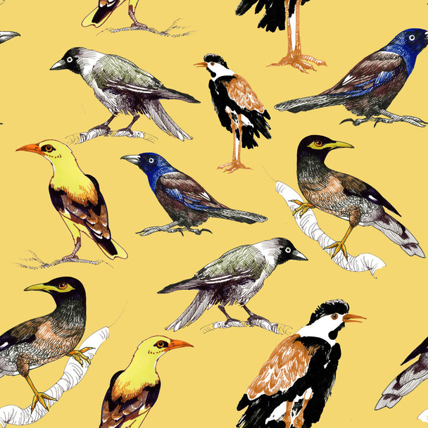 wild birds background - Foto, Bild