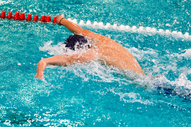 Nadadores de estilo libre en una competición de natación
 - Foto, imagen