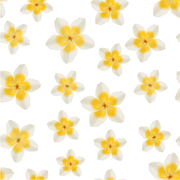 plumeria fragrant flowers background - Vector, Image