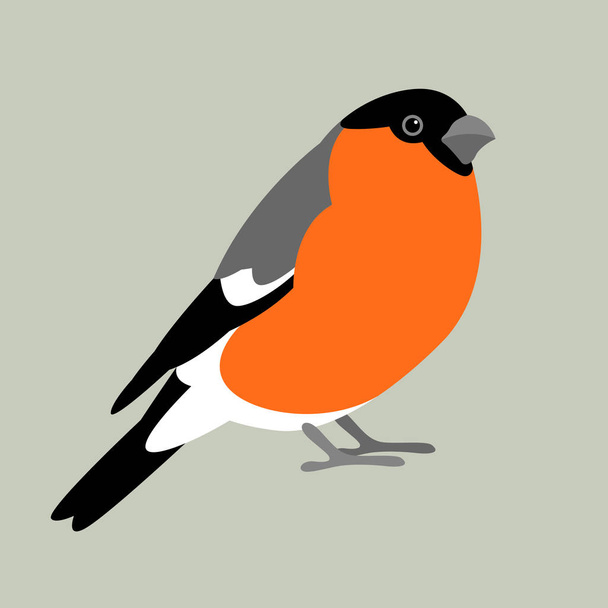 bullfinch bird vector illustration style Flat  - Vetor, Imagem