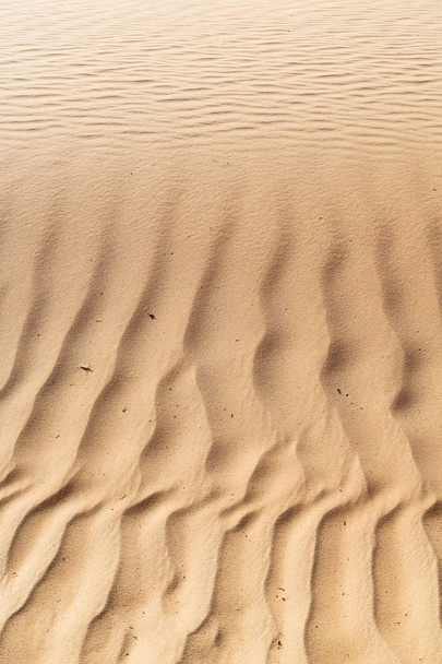 en Oman el viejo desierto y
  - Foto, imagen