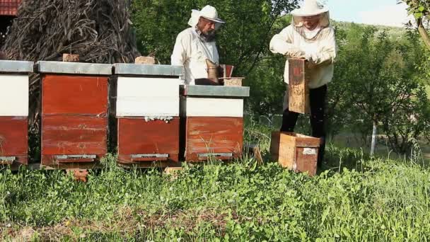 trabalho em apiário
 - Filmagem, Vídeo
