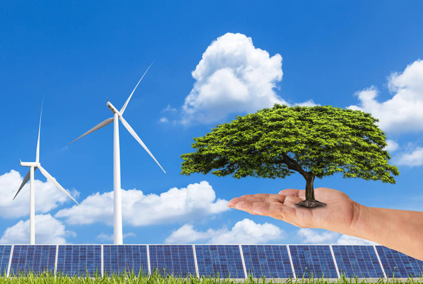 woman hand holding green tree with solar panels and wind turbines on blue sky - Photo, Image