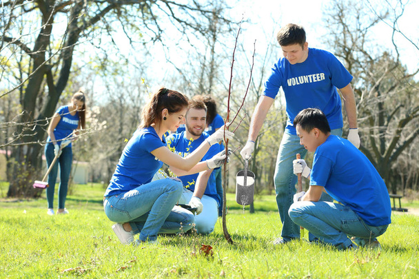Group of volunteers working in park - Фото, зображення