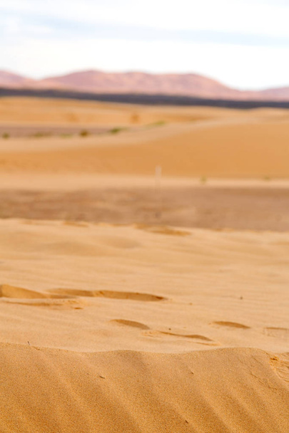 モロッコ砂と砂丘の砂漠の太陽 - 写真・画像